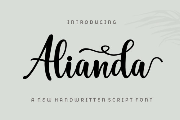 Alianda Script: A Modern Typeface for Web Design