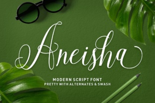 Aneisha Script: A Modern Typeface for Web Design