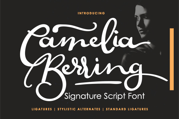 Camelia Berring Script: A Designer’s Review