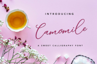 Camomile Script: A Premium Font for Elegant Branding
