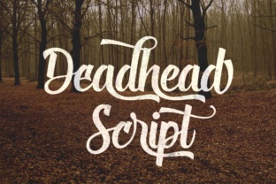 Deadhead Script: The Typeface That Elevates Brand Identity