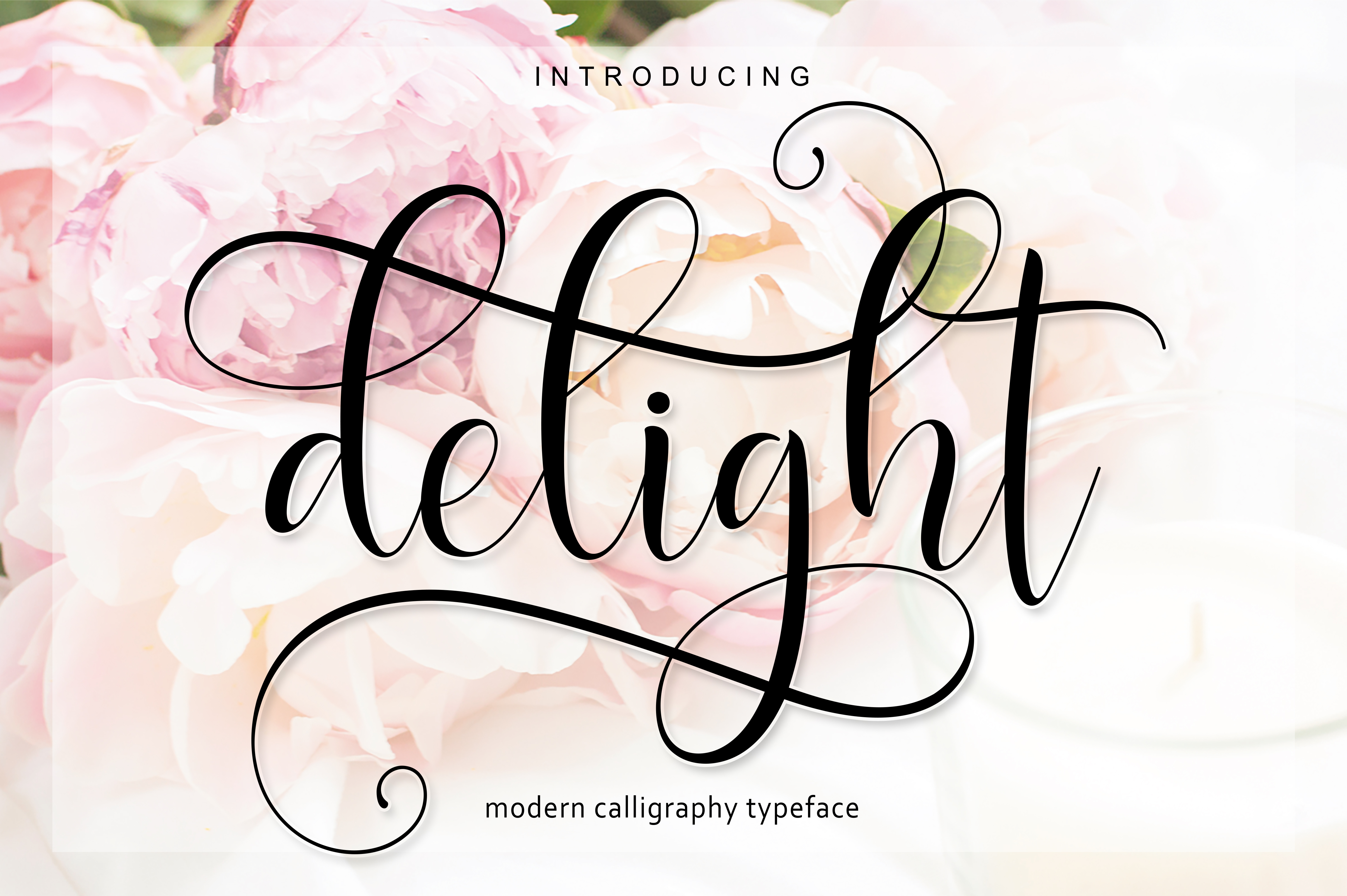 Delight Script: A Web Designer’s Review