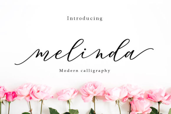 Mansfield Script: A Fresh Typeface for Modern Branding