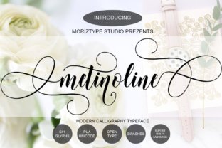 Metinoline Script: A Versatile Typeface for Web Design