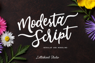 Modesta Script: A Polished Typeface for Feminine Brands