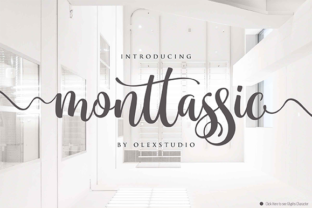 Monttassic Script: A Modern Typeface for Web Design