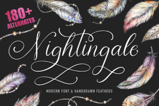Nightingale Script Font for Web Design