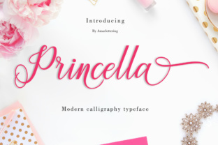 Princella Script: A Modern Typeface for Bold Campaigns