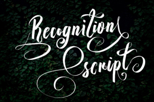 Recognition Script: A Classic Typeface for Modern Brands