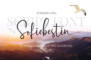 Sofiebestin Script: A Handwritten Font for Crafters